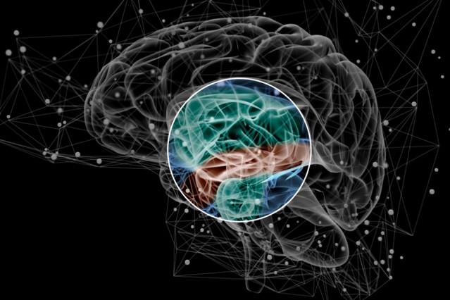 Neuroscientists identify brain activity pattern linked to schizophrenia